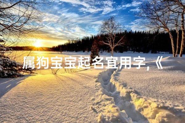 晚上八点出生的属狗男孩如何取名，宜用什么字姓名