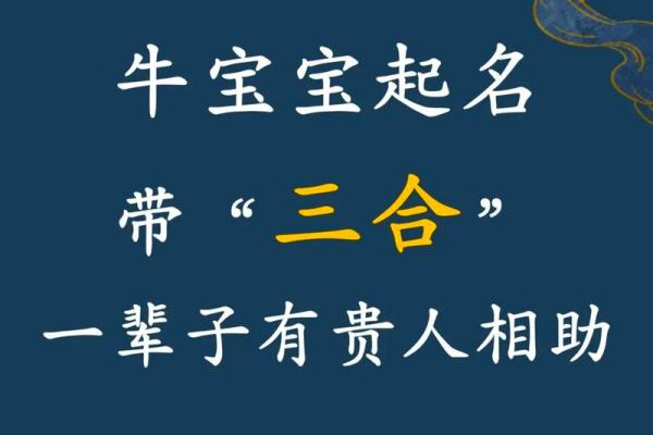 早上8点出生的属牛男孩怎么样起名，宜用什么字姓名