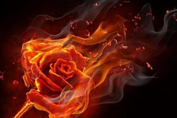 狮子座黑化双重性格_狮子座黑化后的双重性格揭秘星座背后的阴暗面