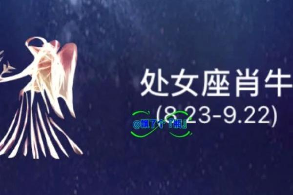 处女座今日运势查询女生属牛 处女座女生今日运势查询女