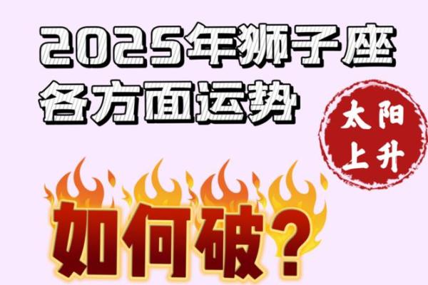 狮子座12月运势2025事业财运_2025年12月狮子座事业财运大揭秘机遇与挑战并存