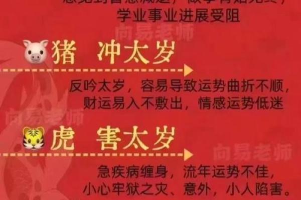 2024年金牛座感情运势解析爱情甜蜜还是波折不断