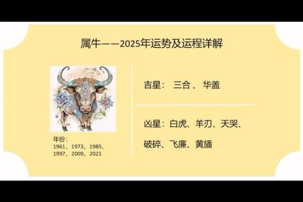 金牛座8月运势2025年 2025年金牛座8月运势解析事业爱情双丰收
