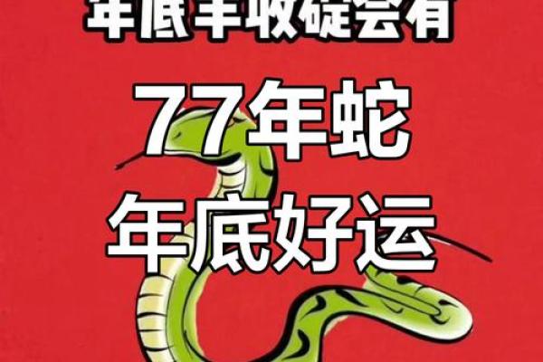 77年生肖蛇2025年运势_77年生肖蛇2025年运势完整版