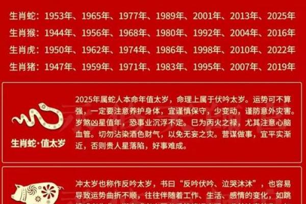 处女座属蛇2025年运势_属蛇处女座今年运势