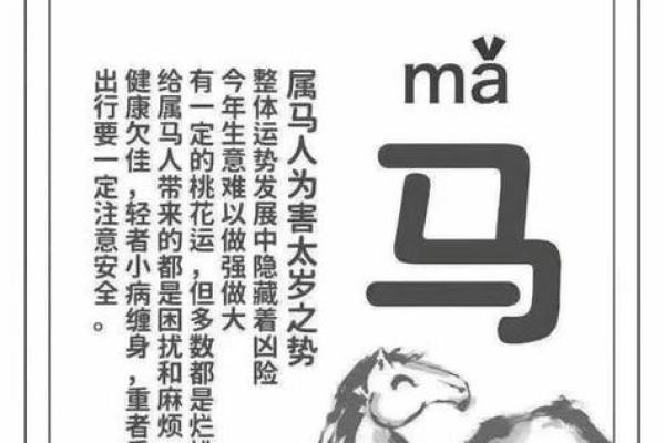 2025年属马人全年运势解析事业财运健康全预测