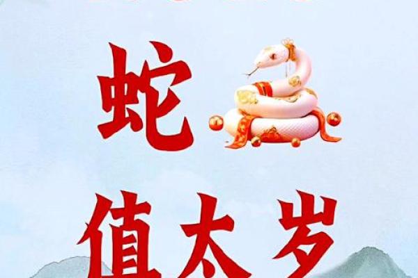 属蛇的今年多大啦2025年 2025年属马多大岁数了 属蛇的今年多大啦2025年 2025年属马多大岁数了