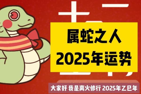 属蛇在2025年全年运势如何 2025年属蛇人全年运势详解逐月运程吉凶预测