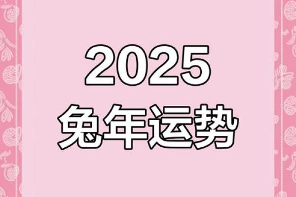 属兔2025年的多大_2025年属兔人年龄揭秘你今年多大