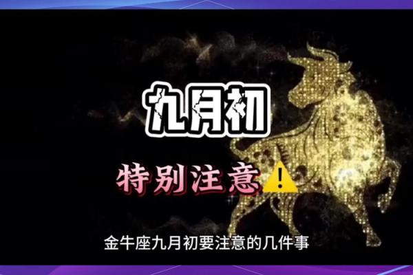金牛座5月份运势_金牛座5月份运势解析财运爱情双丰收事业迎来新机遇