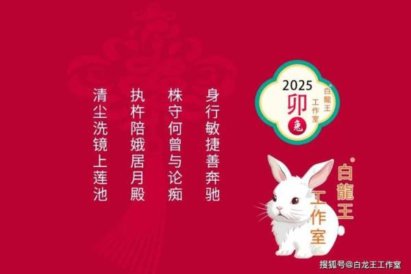 2025属兔人的全年运势如何_2025年属兔百年难遇