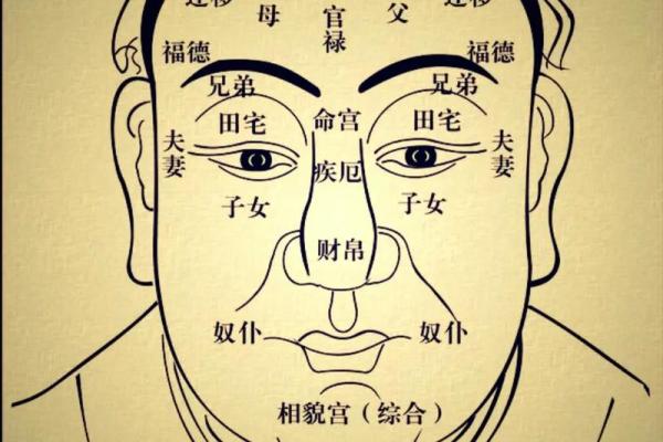 福德宫化禄入财帛宫_福德宫化禄入财帛宫超级能花钱