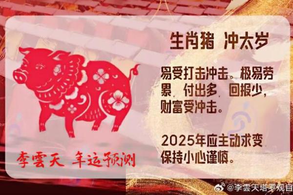 属猪人2025年全年运势详解及每月运程预测 属猪人2025年全年运势详解及每月运程预测