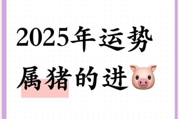 2025年属猪人命运 2025年生肖猪运势