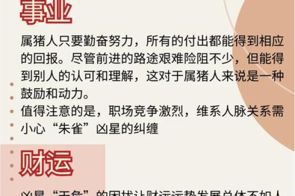 2024属猪人的全年运势_2024年属猪人全年运势解析财运事业爱情全攻略