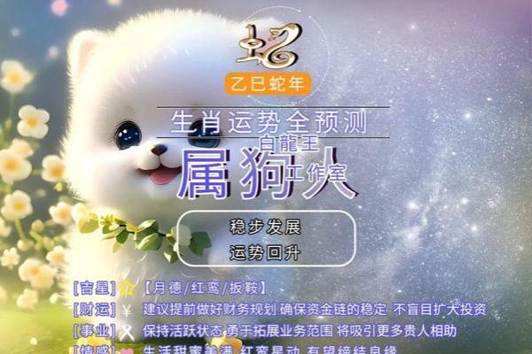 属狗人2025年运势详解财运事业爱情全解析