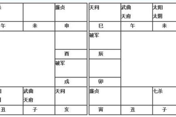 2025年3月23日丑时男命紫微斗数全解盘