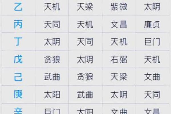 2025年2月20日子时男命紫微斗数全解盘