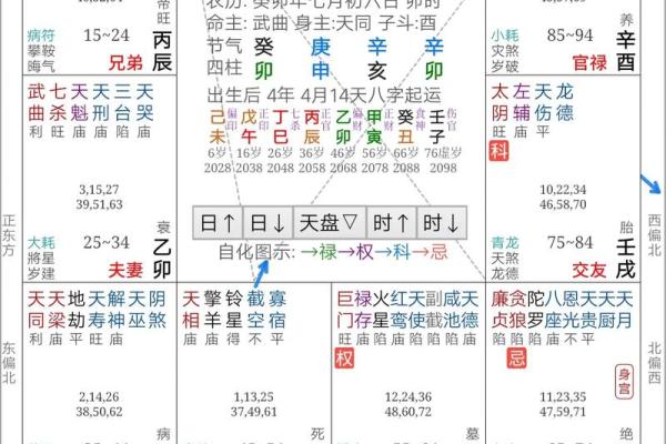 2025年3月27日丑时男命紫微斗数全解盘