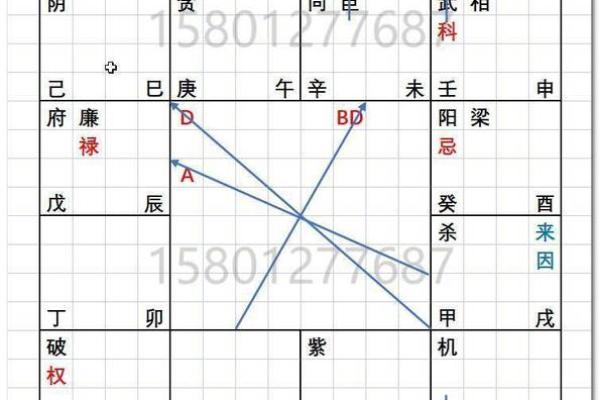2025年2月23日寅时男命紫微斗数全解盘