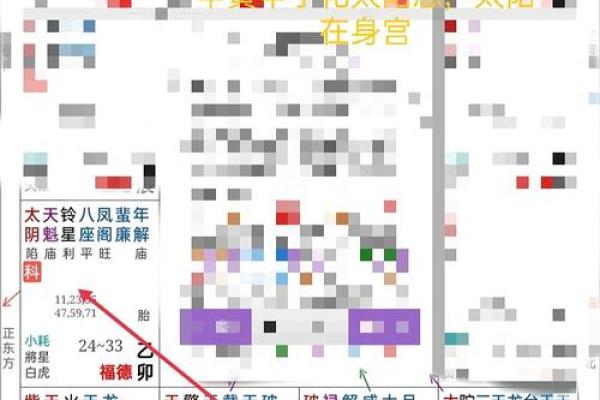 2025年2月25日寅时女命紫微斗数全解盘