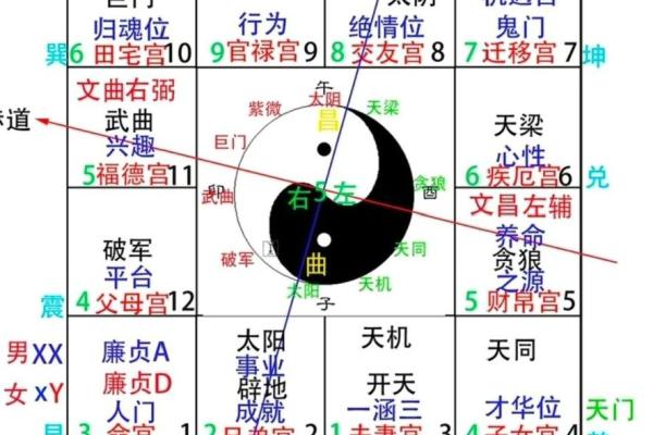 夫妻宫 太阳化忌 夫妻宫太阳化忌婚姻有实无名
