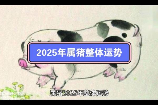2025年属猪人的全年运势 2025年属猪人全年运势详解财运事业健康全面解析