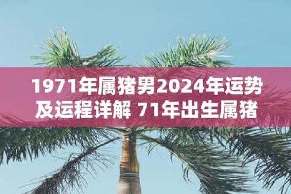 71年属猪2025年运势及年龄解析54岁如何转运