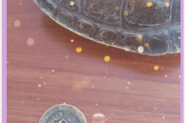 1983年属猪2025年运势及运程_1980年属猴的人2025年运势及运程