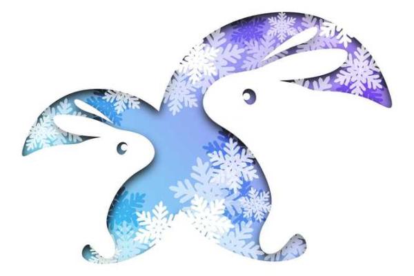 属马和属猪的适合做夫妻吗_男鸡女马属相婚配好不好 属马和属猪的适合做夫妻吗_男鸡女马属相婚配好不好