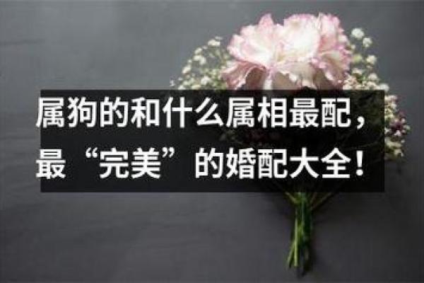 属狗的最佳配偶属相 属狗的最佳配偶属相揭秘12生肖中的完美配对