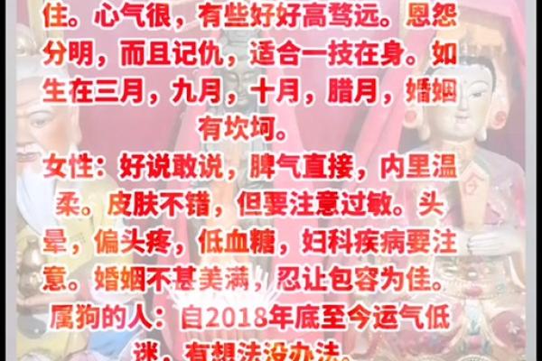 94年属狗的婚姻运势_94年属狗婚姻最终归宿