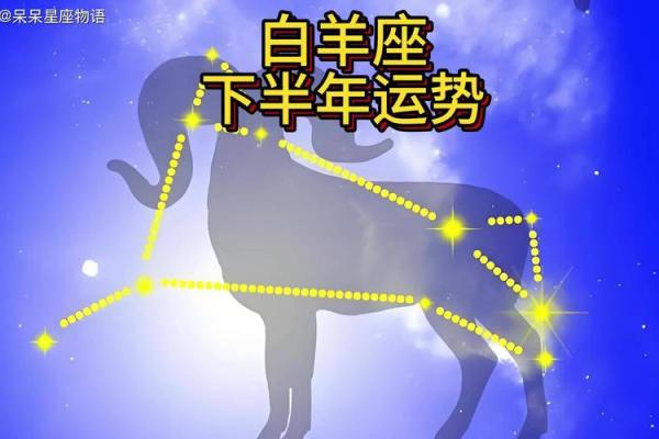 白羊今日运势座星座
