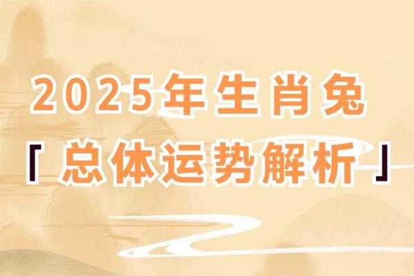 2023年兔五行属什么 2023年兔五行属什么命