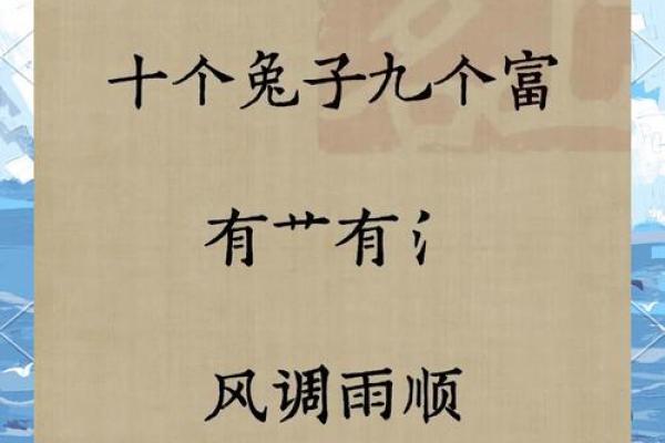 属兔2025虚岁多大 2025年属兔人虚岁多大详细解析年龄计算方法