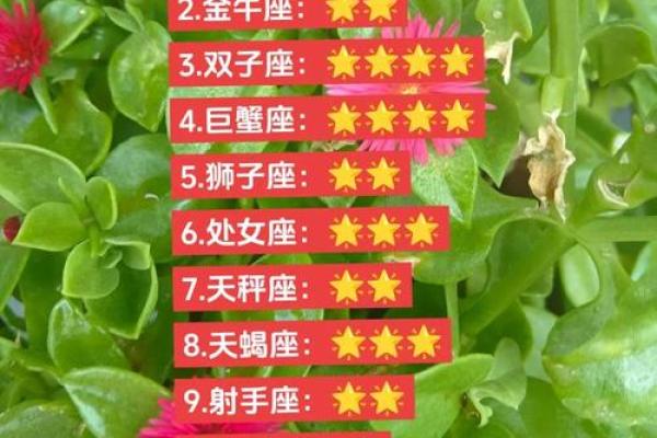 巨蟹座今天打牌的财运(巨蟹座今日打麻将东南西北哪一位)