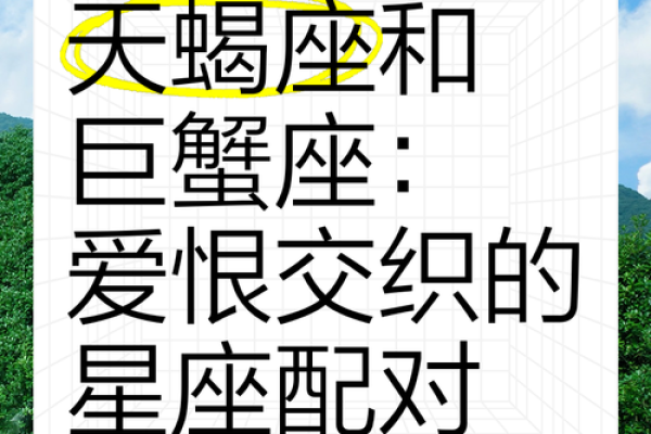 巨蟹座天秤座配对(巨蟹座和天秤座配对指数是多少)