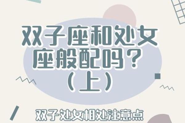双子座女与处女座男的匹配程度(双子座女和处女男座配吗)