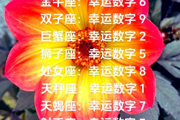 金牛座今日运势星座运势查询