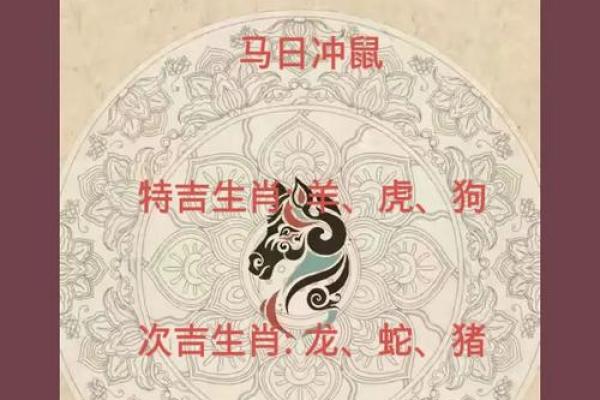 60年的鼠在2025年的运势