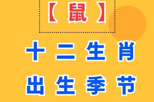 84年鼠今年运势