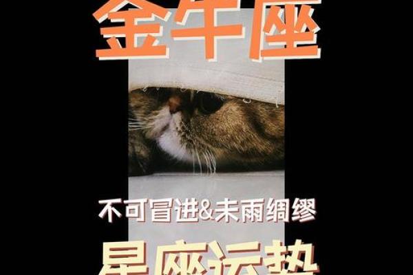 金牛座今天最准的运势