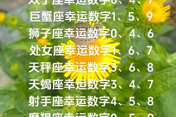 白羊座明日幸运色