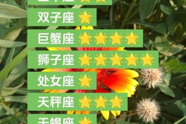 白羊今日运势星座屋(白羊今日运势星座运势紫微)