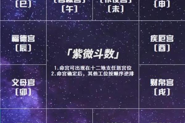 2025年4月15日亥时女命紫微斗数全解盘