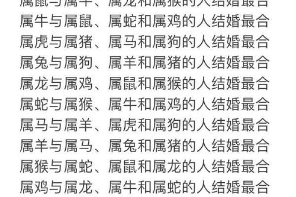 男属狗女属马婚配好吗生肖配对解析与婚姻建议