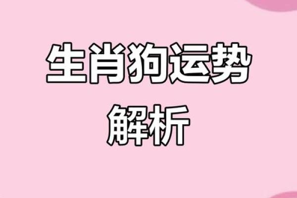 生肖狗2025年运势_2025年生肖狗运势详解事业财运爱情全解析