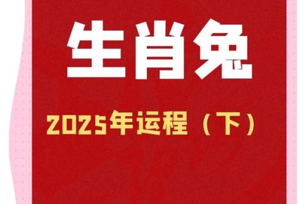 2025年属兔人的全年运势如何(2025年属兔人的全年运势如何第一星座)