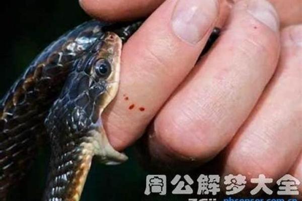 梦见被蛇咬了脚是什么征兆