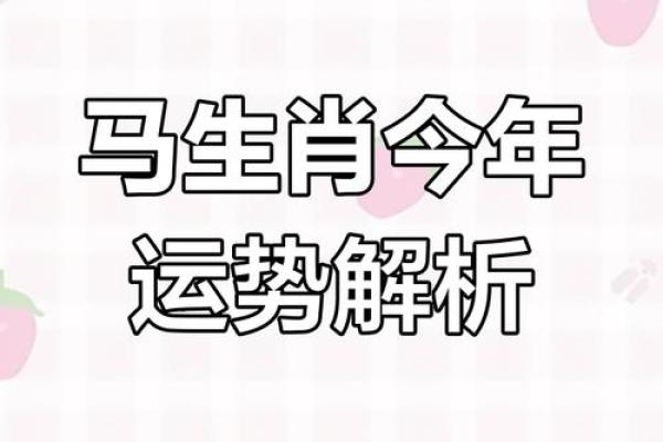属马2025年运气怎么样_属马2025年运气怎么样呢